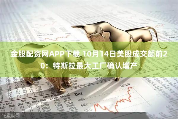 金股配资网APP下载 10月14日美股成交额前20：特斯拉最大工厂确认增产