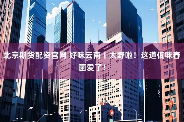 北京期货配资官网 好味云南丨太野啦！这道佤味舂菌爱了！