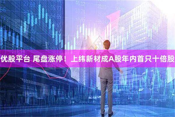 优股平台 尾盘涨停！上纬新材成A股年内首只十倍股