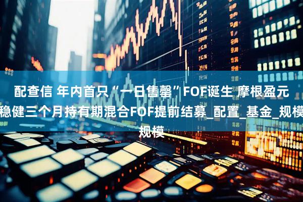 配查信 年内首只“一日售罄”FOF诞生 摩根盈元稳健三个月持有期混合FOF提前结募_配置_基金_规模