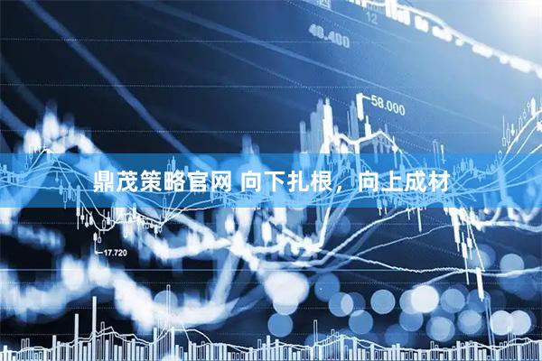 鼎茂策略官网 向下扎根，向上成材