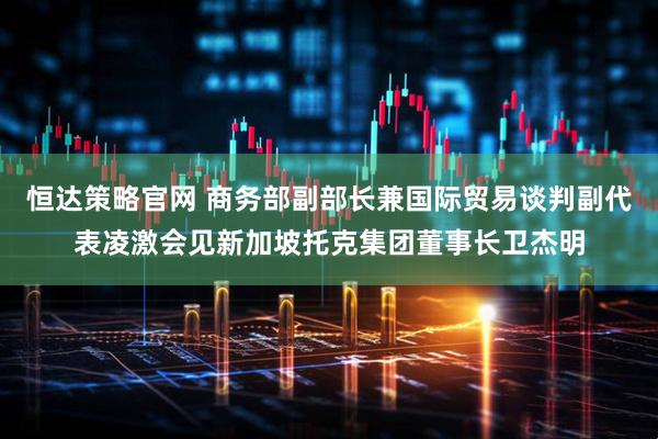 恒达策略官网 商务部副部长兼国际贸易谈判副代表凌激会见新加坡托克集团董事长卫杰明